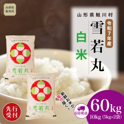 ＜7年産米先行受付＞令和7年12月上旬発送開始 雪若丸【白米】60kg定期便(10kg×6回)