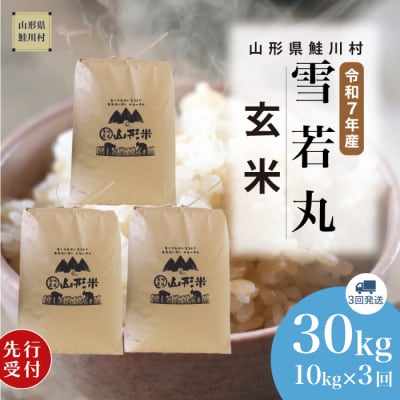 ＜7年産米先行受付＞令和7年12月中旬発送開始 雪若丸【玄米】30kg定期便(10kg×3回)