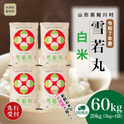 ＜7年産米先行受付＞令和7年12月中旬発送開始 雪若丸【白米】60kg定期便(20kg×3回)
