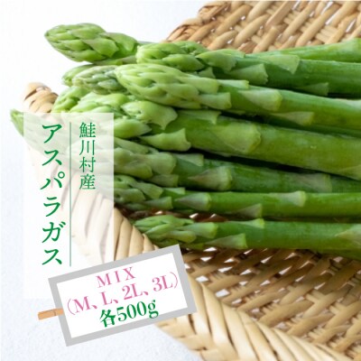 鮭川村産　アスパラガス　MIX:M、L、2L、3L　各500g