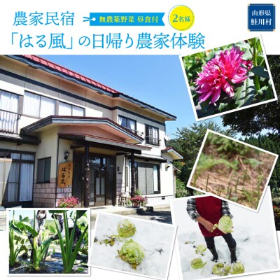 農家民宿「はる風」の日帰り農家体験(2名様昼食付)