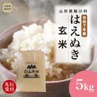 ＜R7年産米受付＞ 令和8年9月上旬発送　はえぬき【玄米】5kg(5kg×1袋)鮭川村