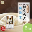 ＜R7年産米受付＞ 令和8年6月中旬発送　はえぬき【無洗米】5kg(5kg×1袋)鮭川村