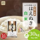 ＜R7年産米受付＞令和7年12月下旬配送開始 はえぬき【白米】30kg定期便 (5kg×6回)鮭川村