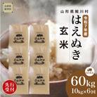 ＜R7年産米受付＞ 令和7年12月中旬配送開始 はえぬき【玄米】60kg定期便(10kg×6回)