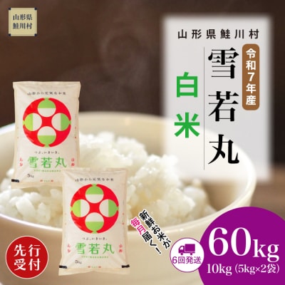 ＜R7年産米受付＞ 令和8年1月中旬配送開始 雪若丸【白米】60kg定期便(10kg×6回)鮭川村