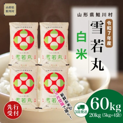 ＜R7年産米受付＞ 令和7年12月下旬配送開始 雪若丸【白米】60kg定期便(20kg×3回)鮭川村
