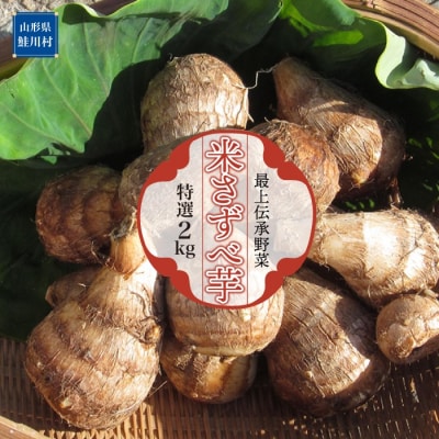 最上伝承野菜　米さずべ芋(特選)2kg