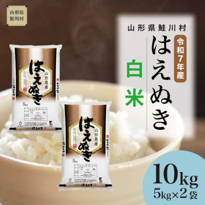 ＜令和7年産米＞はえぬき【白米】10kg(5kg×2袋) ＜配送時期指定可＞ 鮭川村