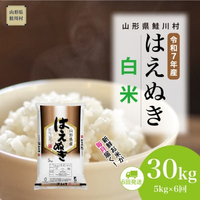 ＜令和7年産米＞はえぬき【白米】30kg定期便(5kg×6回) ＜配送時期指定可＞ 鮭川村