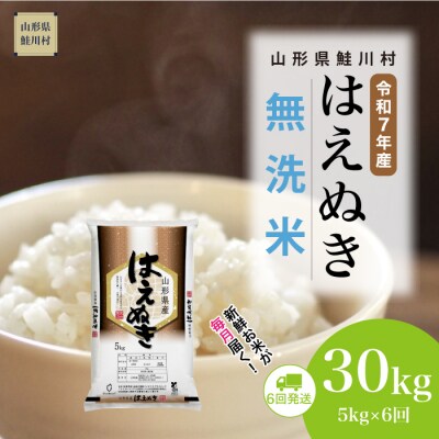 ＜令和7年産米＞はえぬき【無洗米】30kg定期便(5kg×6回) ＜配送時期指定可＞ 鮭川村