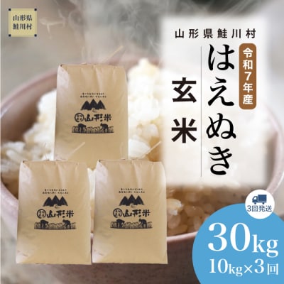 ＜令和7年産米＞はえぬき【玄米】30kg定期便(10kg×3回) ＜配送時期指定可＞ 鮭川村