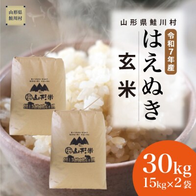 ＜令和7年産米＞はえぬき【玄米】30kg(15kg×2袋) ＜配送時期指定可＞ 鮭川村