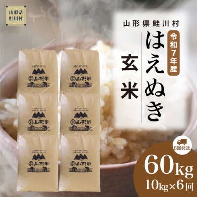 ＜令和7年産米＞はえぬき【玄米】60kg定期便(10kg×6回) ＜配送時期指定可＞ 鮭川村