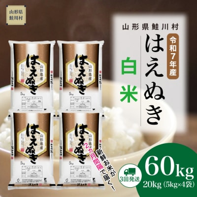 ＜令和7年産米＞はえぬき【白米】60kg定期便(20kg×3回) ＜配送時期指定可＞ 鮭川村
