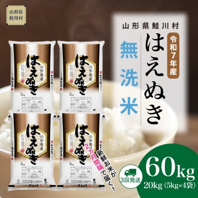 ＜令和7年産米＞はえぬき【無洗米】60kg定期便(20kg×3回) ＜配送時期指定可＞ 鮭川村