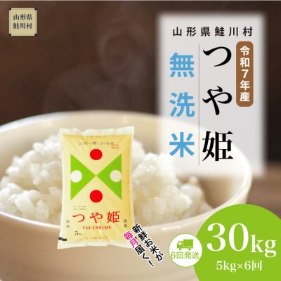 ＜令和7年産米＞特別栽培米 つや姫【無洗米】30kg定期便(5kg×6回)＜配送時期指定可＞鮭川村