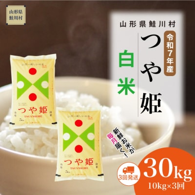 ＜令和7年産米＞特別栽培米 つや姫【白米】30kg定期便(10kg×3回)＜配送時期指定可＞鮭川村