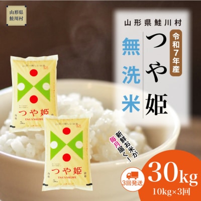 ＜令和7年産米＞特別栽培米 つや姫【無洗米】30kg定期便(10kg×3回)＜配送時期指定可＞鮭川村