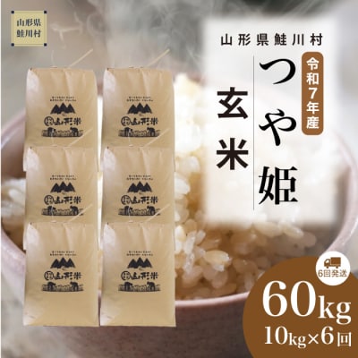 ＜令和7年産米＞特別栽培米 つや姫【玄米】60kg定期便(10kg×6回)＜配送時期指定可＞鮭川村