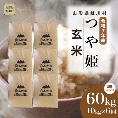 ＜令和7年産米＞特別栽培米 つや姫【玄米】60kg定期便(10kg×6回)＜配送時期指定可＞鮭川村