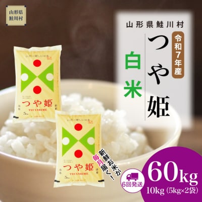 ＜令和7年産米＞特別栽培米 つや姫【白米】60kg定期便(10kg×6回)＜配送時期指定可＞鮭川村