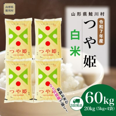 ＜令和7年産米＞特別栽培米 つや姫【白米】60kg定期便(20kg×3回)＜配送時期指定可＞鮭川村
