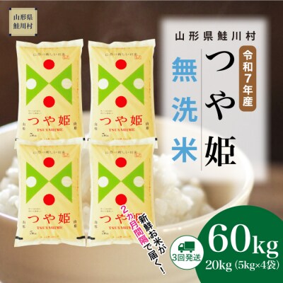 ＜令和7年産米＞特別栽培米 つや姫【無洗米】60kg定期便(20kg×3回)＜配送時期指定可＞鮭川村