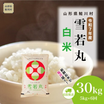 ＜令和7年産米＞雪若丸【白米】30kg定期便(5kg×6回) ＜配送時期指定可＞ 鮭川村