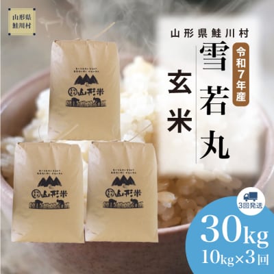 ＜令和7年産米＞雪若丸【玄米】30kg 定期便(10kg×3回) ＜配送時期指定可＞ 鮭川村