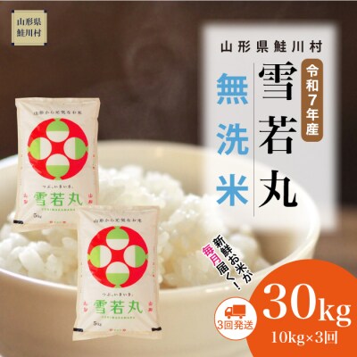 ＜令和7年産米＞雪若丸【無洗米】30kg定期便(10kg×3回) ＜配送時期指定可＞ 鮭川村