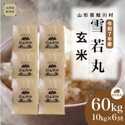 ＜令和7年産米＞雪若丸【玄米】60kg定期便(10kg×6回) ＜配送時期指定可＞ 鮭川村