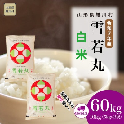 ＜令和7年産米＞雪若丸【白米】60kg定期便(10kg×6回) ＜配送時期指定可＞ 鮭川村