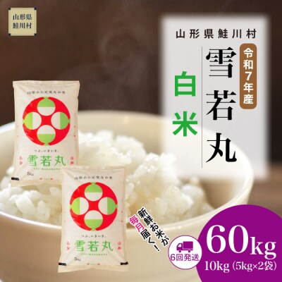 ＜令和7年産米＞雪若丸【白米】60kg定期便(10kg×6回) ＜配送時期指定可＞ 鮭川村