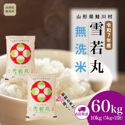 ＜令和7年産米＞雪若丸【無洗米】60kg定期便(10kg×6回) ＜配送時期指定可＞ 鮭川村