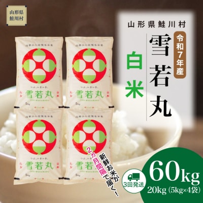 ＜令和7年産米＞雪若丸【白米】60kg定期便(20kg×3回) ＜配送時期指定可＞ 鮭川村