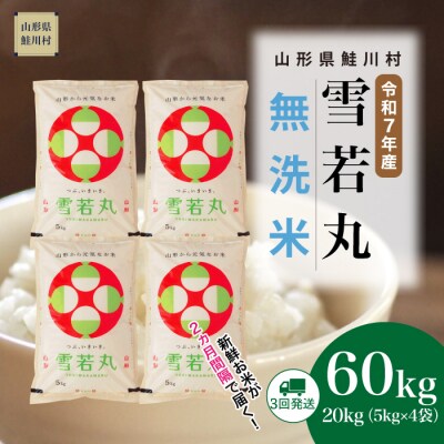 ＜令和7年産米＞雪若丸【無洗米】60kg定期便(20kg×3回) ＜配送時期指定可＞ 鮭川村