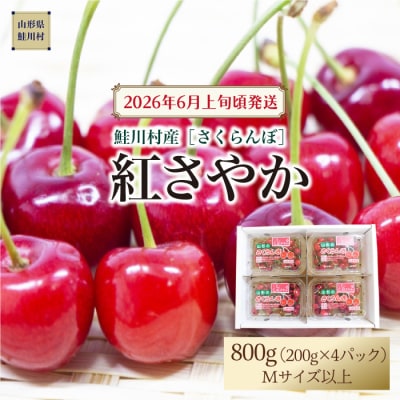 【令和8年産 早期受付】 鮭川村産さくらんぼ ＜紅さやか＞ M～Lサイズ 800g(200g×4P)