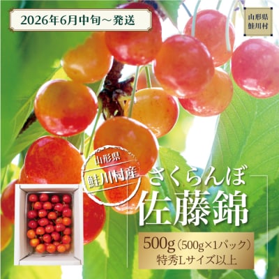 【令和8年産 早期受付】 鮭川村産さくらんぼ ＜佐藤錦＞ 特秀Lサイズ以上バラ詰め 500g