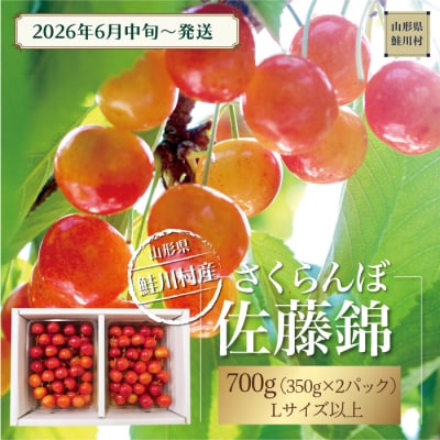 【令和8年産 早期受付】 鮭川村産さくらんぼ ＜佐藤錦＞ Lサイズ以上バラ詰め 700g