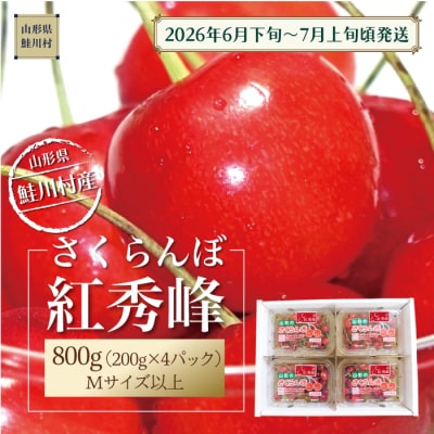 【令和8年産 早期受付】 鮭川村産さくらんぼ ＜紅秀峰＞ フードパック800g(200g×4P)