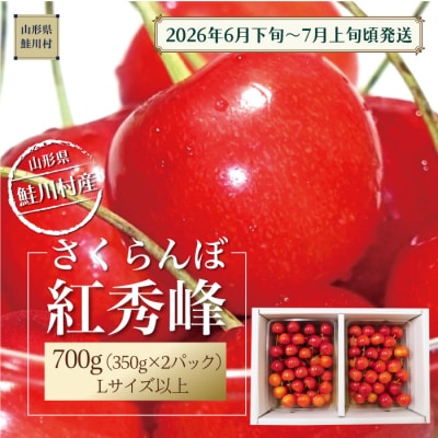 【令和8年産 早期受付】 鮭川村産さくらんぼ ＜紅秀峰＞ Lサイズ以上バラ詰め 700g