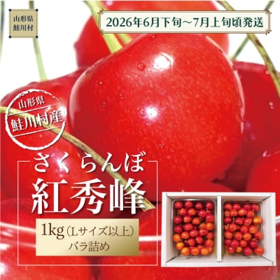 【令和8年産 早期受付】 鮭川村産さくらんぼ ＜紅秀峰＞ L以上バラ詰め 1kg(500g×2P)