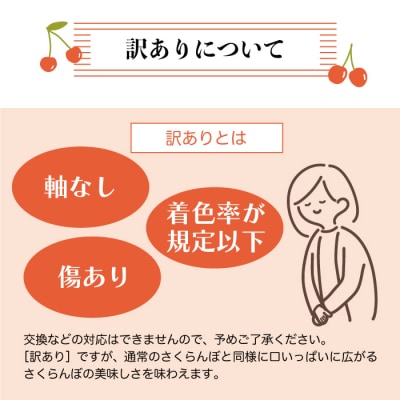 【令和8年産 早期受付】★訳あり★ 鮭川村産さくらんぼ <品種おまかせ>800g(200g×4P)
