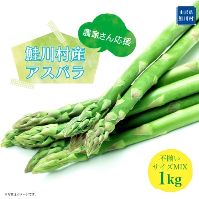 農家さん応援!! 鮭川村産 アスパラガス 不揃いサイズ MIX 1kg