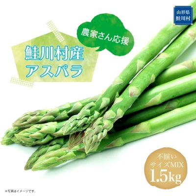 農家さん応援!! 鮭川村産 アスパラガス 不揃いサイズ MIX 1.5kg