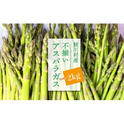  鮭川村産　不揃いアスパラガス　2kg