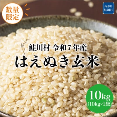 ★数量限定★令和7年産 はえぬき【玄米】10kg(10kg×1袋)＜配送時期指定可＞鮭川村