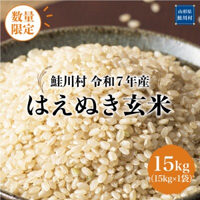 ★数量限定★令和7年産 はえぬき【玄米】15kg(15kg×1袋)＜配送時期指定可＞鮭川村