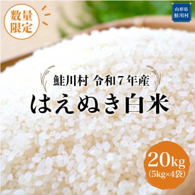 ★数量限定★令和7年産 はえぬき【白米】20kg(5kg×4袋)＜配送時期指定可＞鮭川村